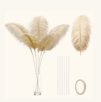Champagne Ostrich Feathers 24–26 inch, 12pcs