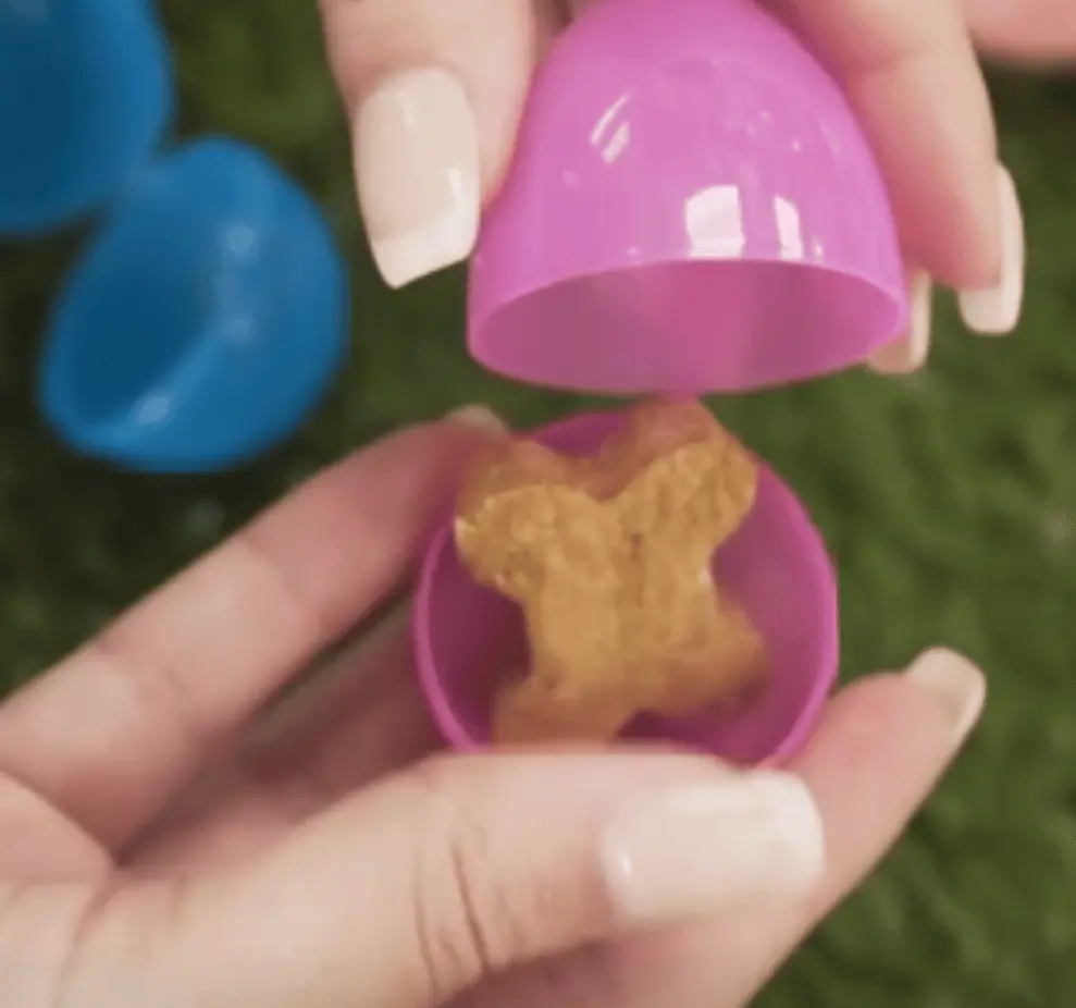 Plastic Easter egg opened to reveal a dog treat inside — perfect for a doggy egg hunt
