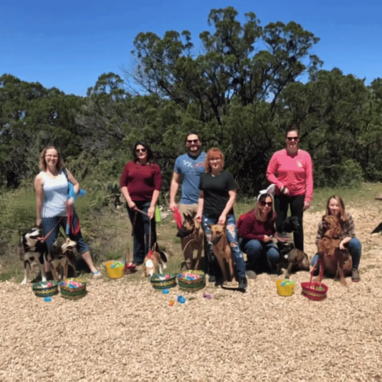 Real doggy Easter egg hunt — group with dogs and Easter baskets outdoors