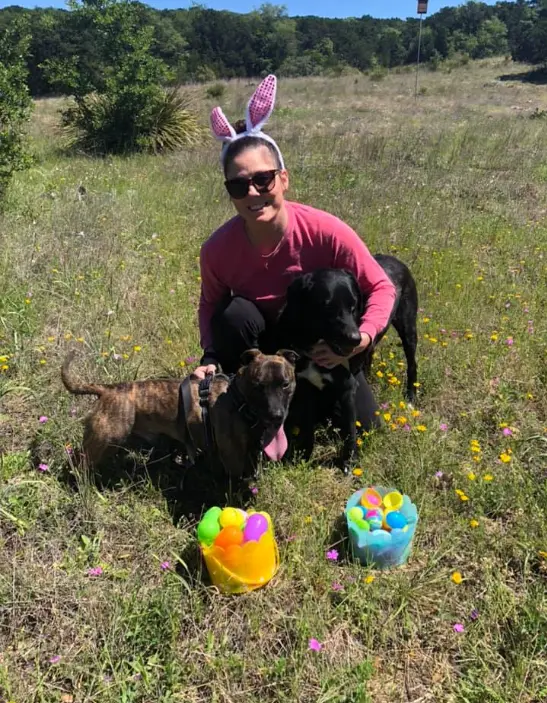 Real doggy Easter egg hunt — woman with two dogs and Easter egg baskets in field